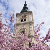 Kostel Nanebevzetí Panny Marie ve Vyškově (7. 4. 2019)