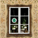 Hallstatt - bio okno