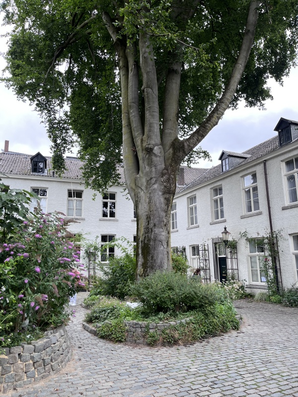 Maternushof &ndash; zahrada milosrdentsv�
