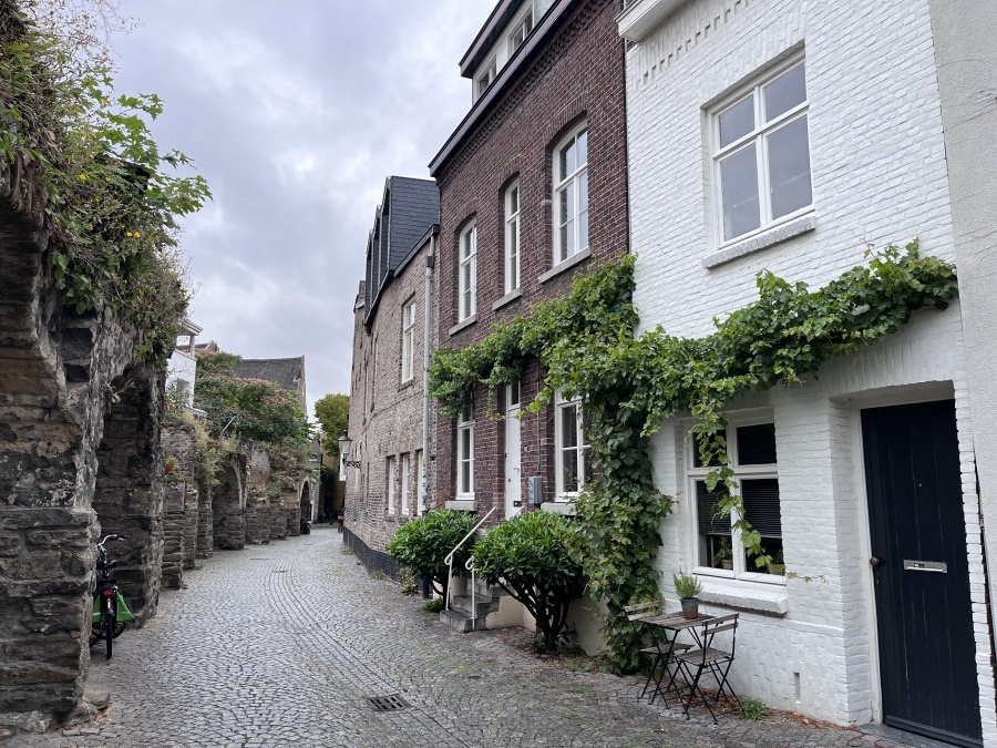 Maastrichtsk� uli�ka