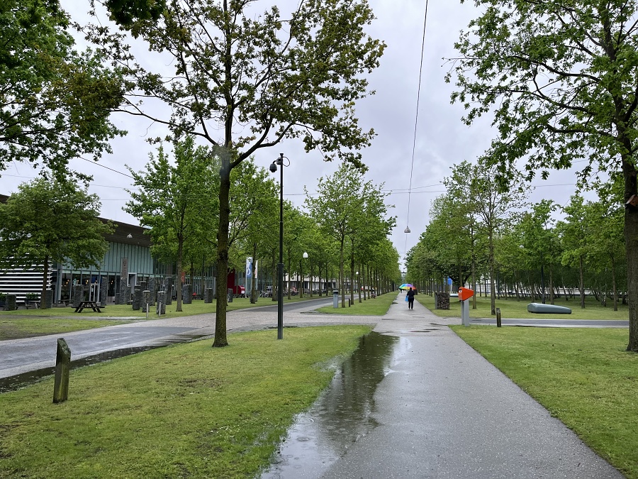 Zele� v High Tech Campusu