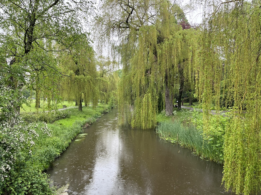 Dommel
